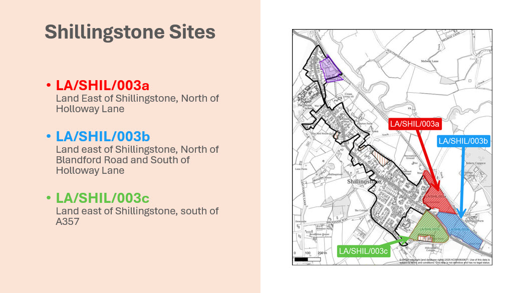 Dorset Council Local Plan Options Consultation 2025
